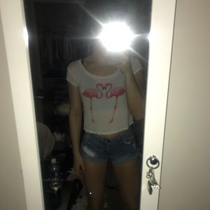 Flamingo crop top